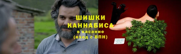 прущие грибы Олёкминск