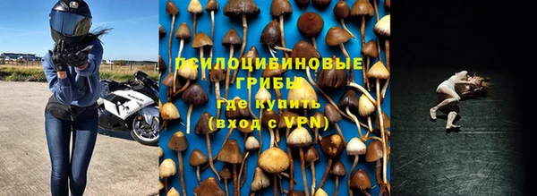 ECSTASY Магадан