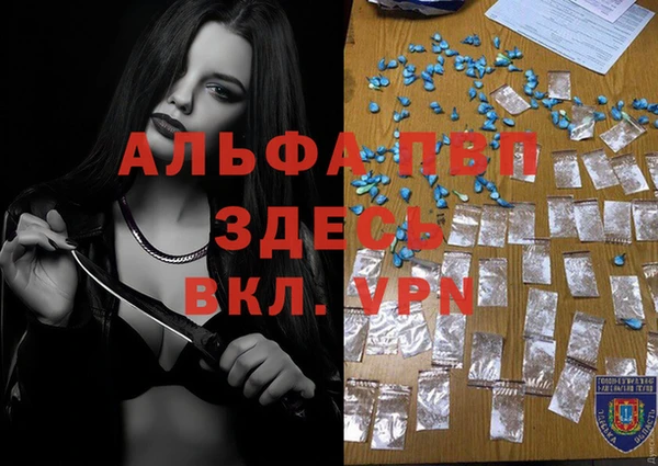 ECSTASY Магадан